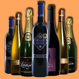 呼死你电话轰炸